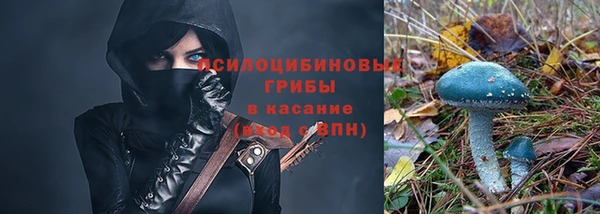 spice Балахна