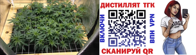 ТГК гашишное масло  Спас-Деменск 