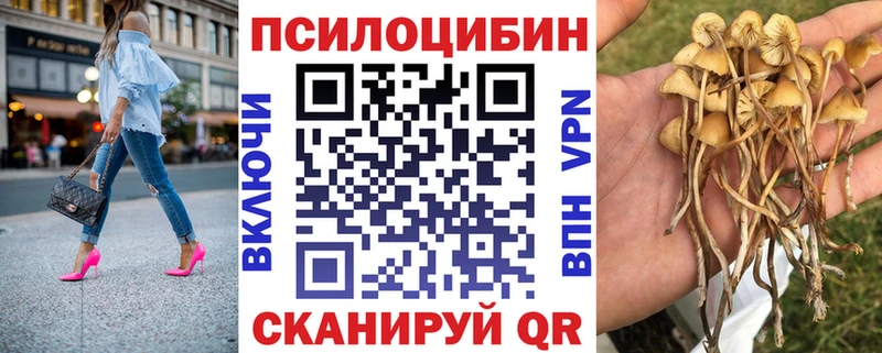 Псилоцибиновые грибы прущие грибы  Спас-Деменск 
